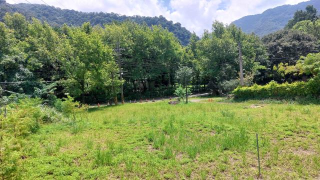 橫山農地-10