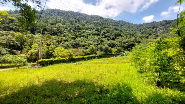 橫山農地-14