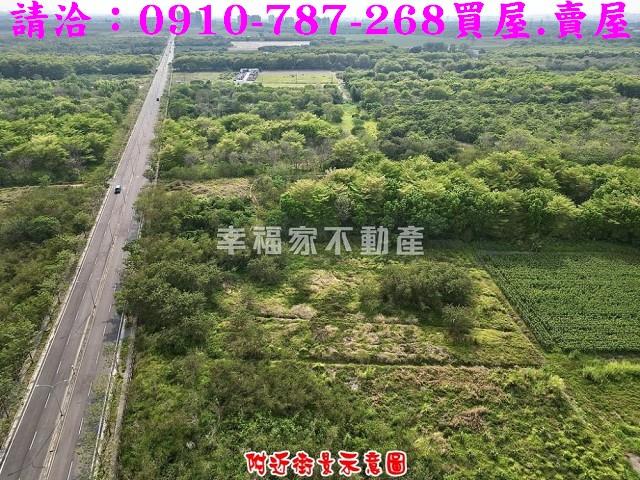 歸仁農地-5