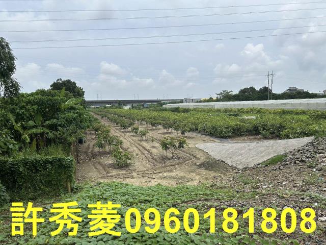高雄岡山農地-10