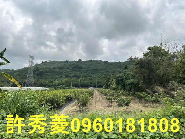 高雄岡山農地-11