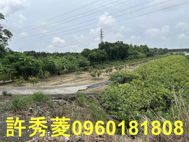 高雄岡山農地-6