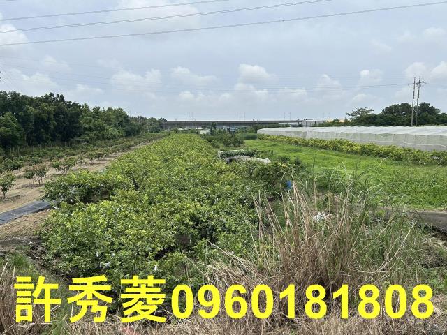 高雄岡山農地-8