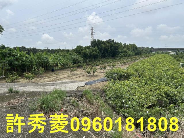 高雄岡山農地-9
