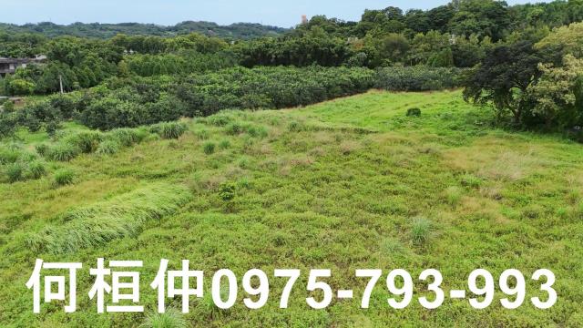 新竹峨眉農地-1