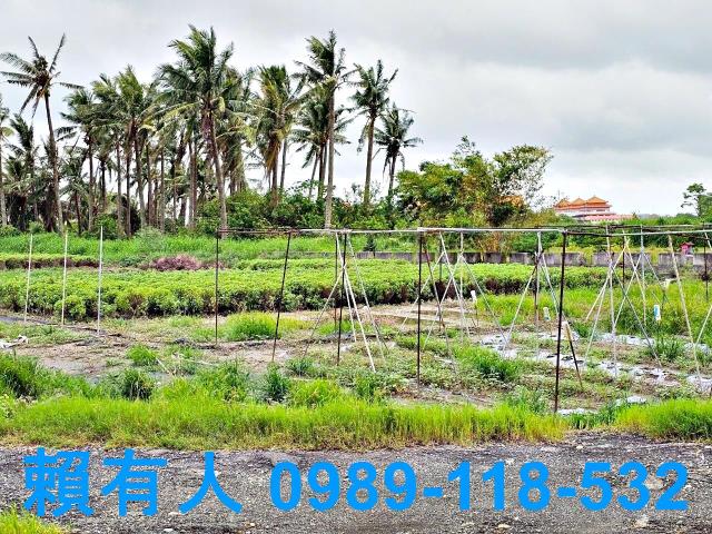 台南安南農地-13