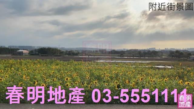 竹北農地-10