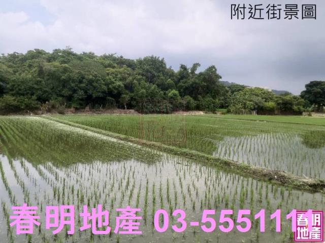 竹北農地-1