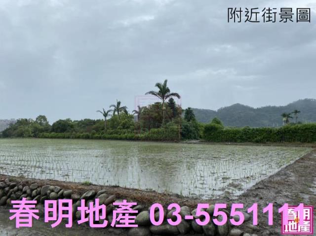 竹北農地-5