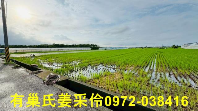 太保農地-4
