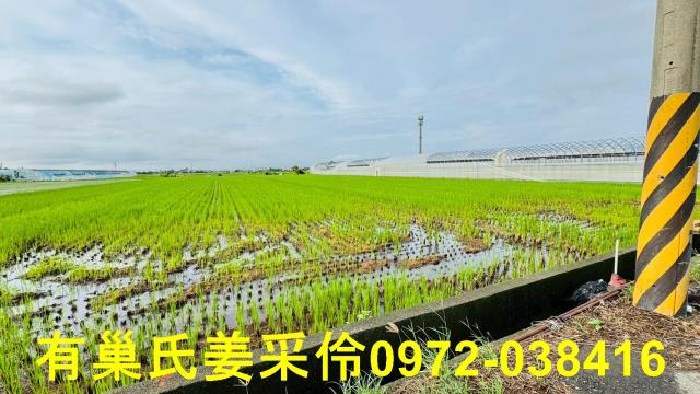 太保農地-6