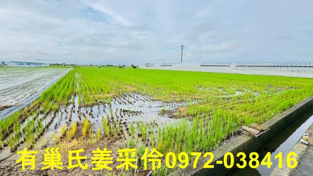太保農地-8