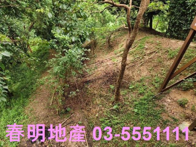 寶山農地-14