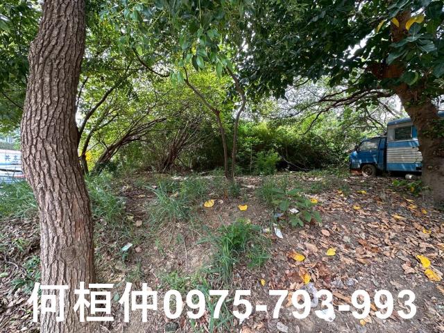 苗栗竹南農地-1