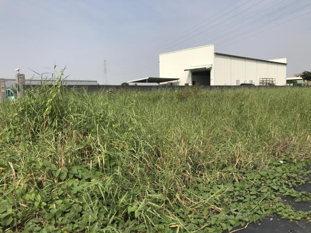 高雄岡山農地-1