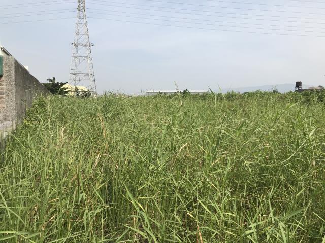 高雄岡山農地-3