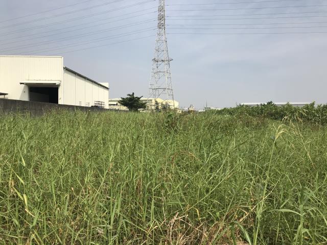 高雄岡山農地-5
