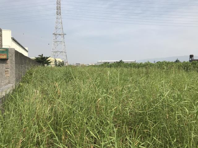 高雄岡山農地-9