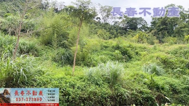 苗栗獅潭農地-1