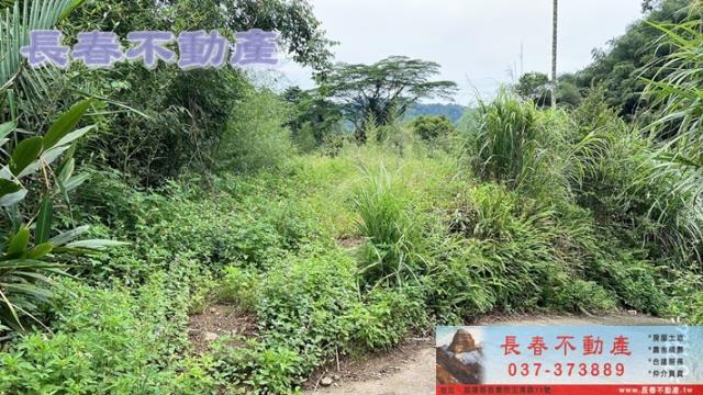 苗栗獅潭農地-2