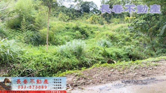 苗栗獅潭農地-3