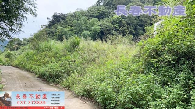 苗栗獅潭農地-5