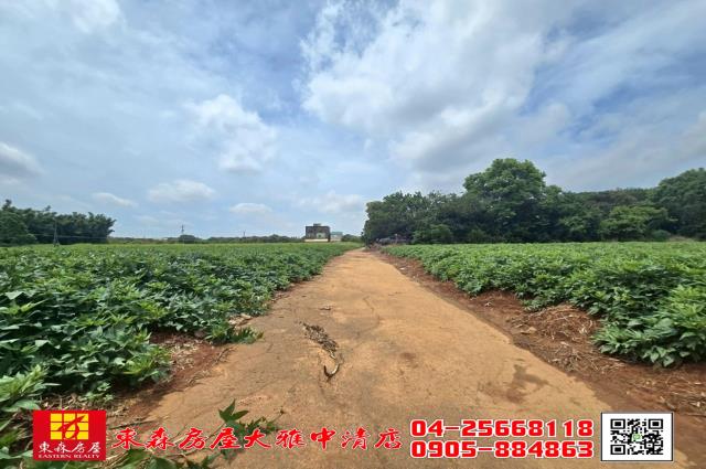 清水農地-4