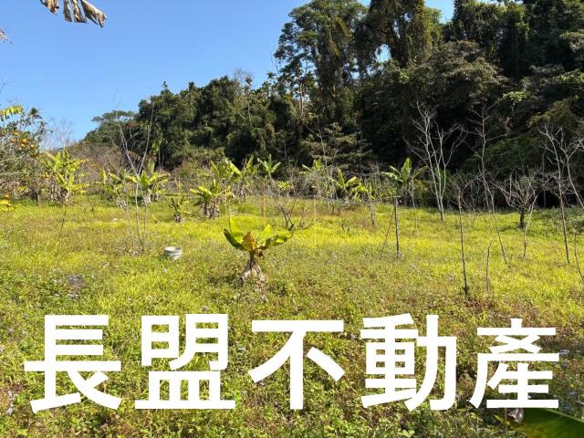 東勢休閒地-10