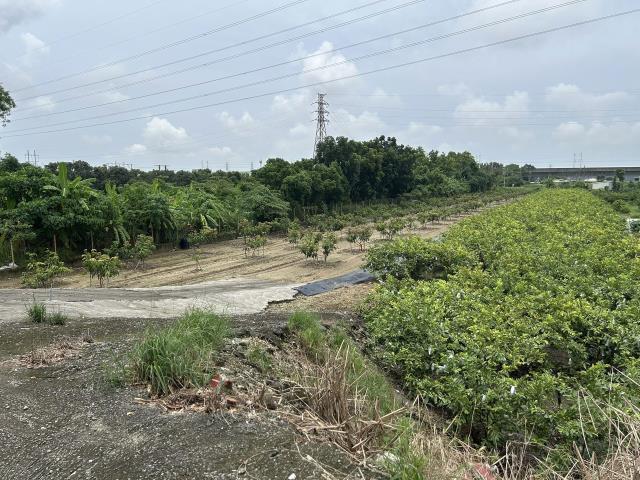 岡山農地-11