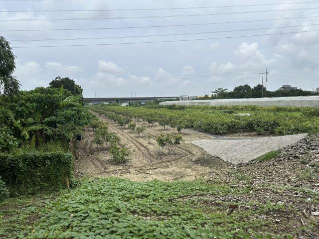 岡山農地-12