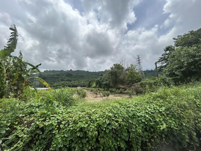 岡山農地-1
