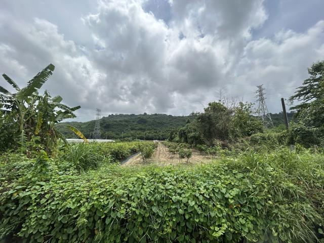 岡山農地-2