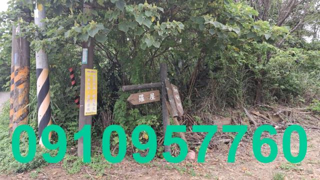 桃園殯葬用地-1