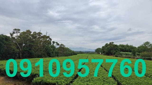 桃園殯葬用地-2