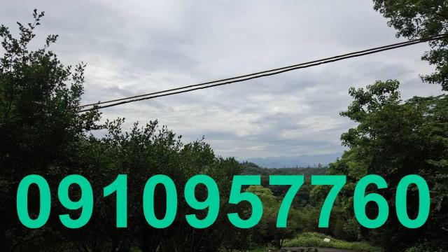 桃園殯葬用地-3