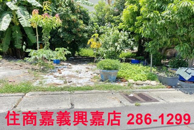 雲林商業地-8