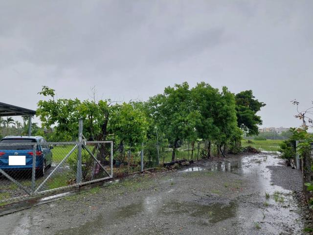 屏東崁頂農地-3