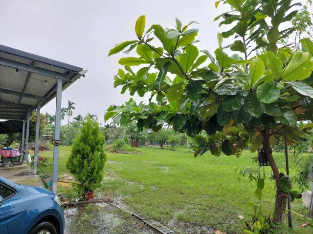 屏東崁頂農地-6