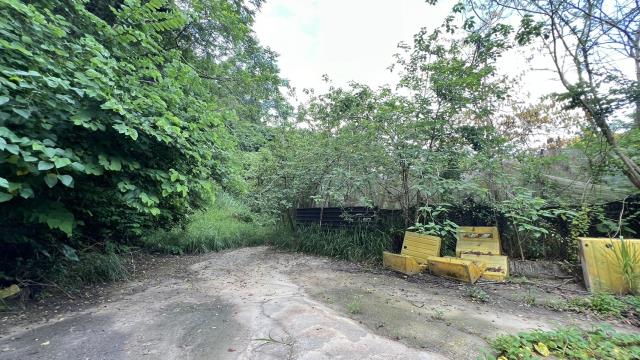 高雄燕巢農地-2