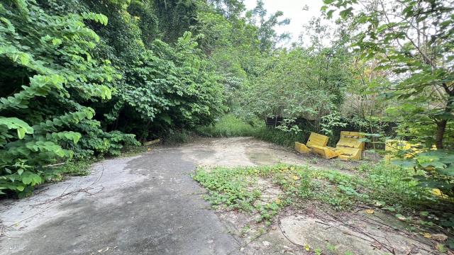 高雄燕巢農地-4
