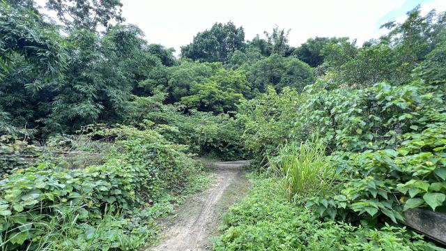 高雄燕巢農地-6
