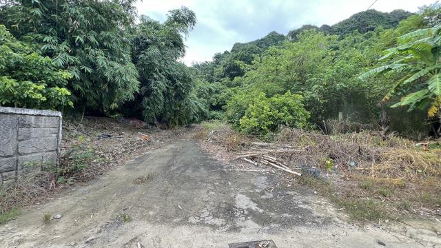 高雄燕巢農地-9