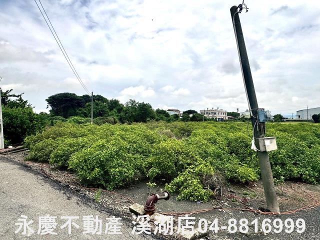 埔心農地-10