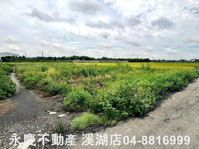 埔心農地-11