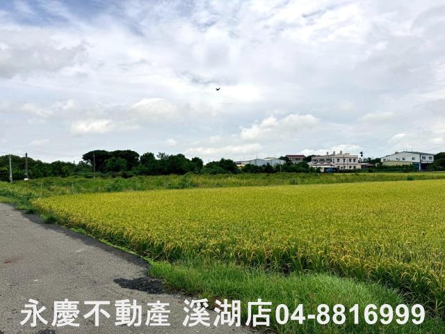埔心農地-12