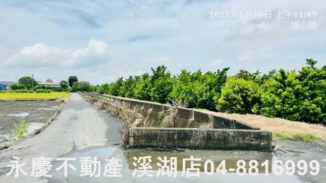 埔心農地-14