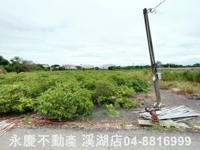 埔心農地-1