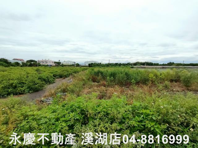埔心農地-2