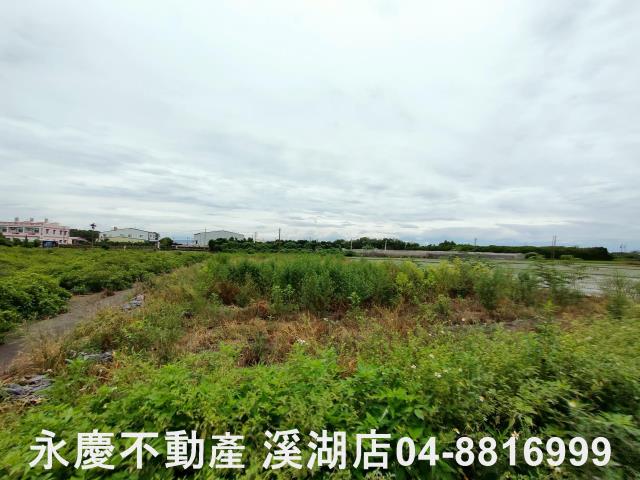 埔心農地-3