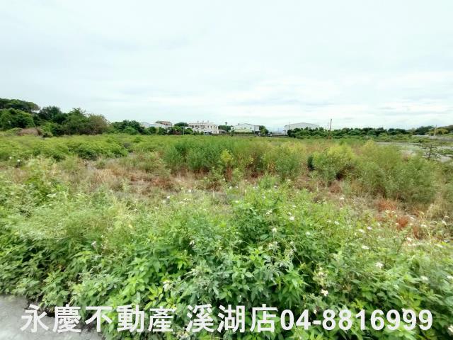 埔心農地-6
